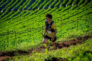 BIB: 
                            <button type="button" onclick="openModal(19160587)" class="btn btn-primary btn-sm float-right btn-popup" data-toggle="modal" data-target=".modal-high-quality">
                        <i class="fas fa-shopping-cart"></i> Add to Cart
                    </button>
                                            <button type="button" onclick="isThisMe(19160587, true)" class="btn btn-success btn-sm float-right btn-popup btn-isme hidden" data-toggle="tooltip" data-placement="bottom" title="นี่คือรูปของคุณใช่ไหม คลิกที่นี่เพื่อเอาเข้าอัลบั้ม">
                        <i class="fas fa-plus"></i> Add to album
                    </button>
                    <button type="button" onclick="isThisMe(19160587, false)" class="btn btn-warning btn-sm float-right btn-popup btn-isnotme hidden">
                        <i class="fas fa-ban"></i> Remove from album
                    </button>